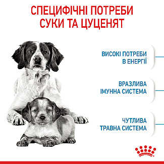 Сухий корм для собак середніх порід Royal Canin Medium Starter для вагітних, годуючих і цуценят, 1 кг