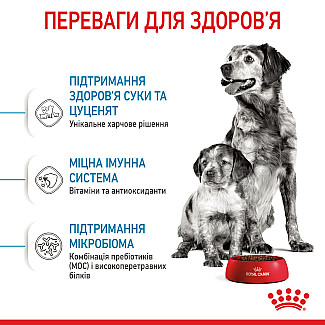 Сухий корм для собак середніх порід Royal Canin Medium Starter для вагітних, годуючих і цуценят, 1 кг