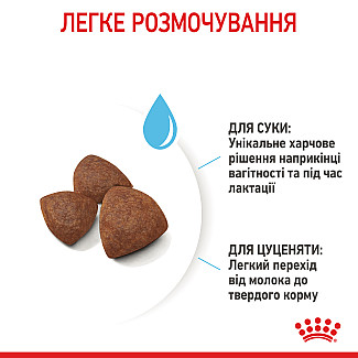 Сухий корм для собак середніх порід Royal Canin Medium Starter для вагітних, годуючих і цуценят, 1 кг