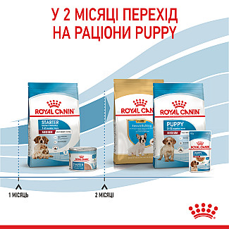Сухий корм для собак середніх порід Royal Canin Medium Starter для вагітних, годуючих і цуценят, 1 кг