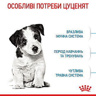 Сухий корм для цуценят малих порід Royal Canin Puppy Mini, 8 кг