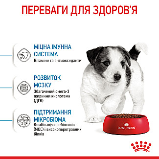 Сухий корм для цуценят малих порід Royal Canin Puppy Mini, 8 кг