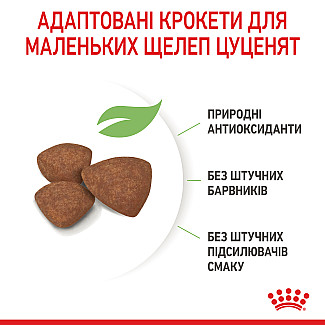 Сухий корм для цуценят малих порід Royal Canin Puppy Mini, 8 кг
