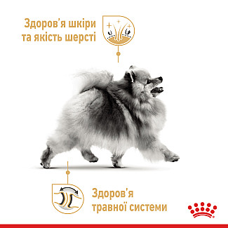 Royal Canin (Роял Канин) Pomeranian Adult – Сухой корм с птицей для взрослых собак породы Померанский шпиц, 1.5 кг