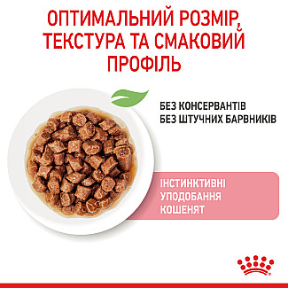 Консерви для кошенят до 12 місяців Royal Canin Kitten шматочки в соусі, 85 г