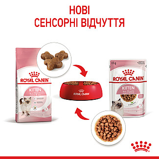 Консерви для кошенят до 12 місяців Royal Canin Kitten шматочки в соусі, 85 г