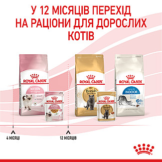 Royal Canin KITTEN INSTINCTIVE IN JELLY консервы в желе для котят до 12 месяцев, 85 гр