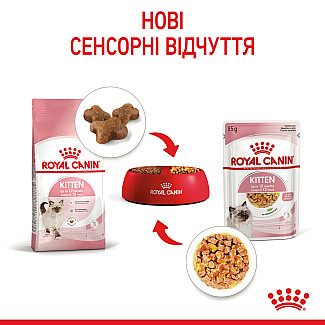 Royal Canin KITTEN INSTINCTIVE IN JELLY консервы в желе для котят до 12 месяцев, 85 гр