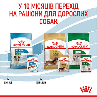 Royal Canin Mini Puppy (Роял Канин Мини Паппи) влажный корм для щенков в возрасте c 2 до 10 месяцев, 85 г