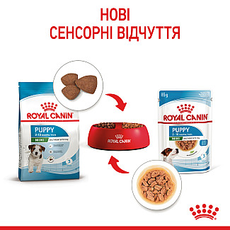 Royal Canin Mini Puppy (Роял Канин Мини Паппи) влажный корм для щенков в возрасте c 2 до 10 месяцев, 85 г