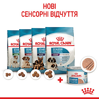Мус для цуценят Royal Canin Starter Mousse  до 2-х місяців, 195 г