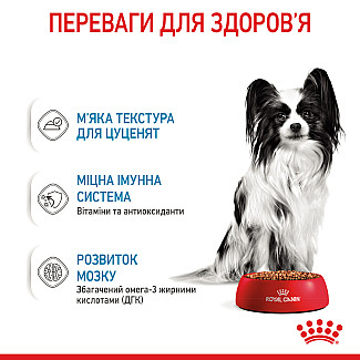 Влажный корм для щенят мелких пород Royal Canin Puppy X-Small  кусочки в соусе, 85 г