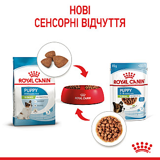 Влажный корм для щенят мелких пород Royal Canin Puppy X-Small  кусочки в соусе, 85 г