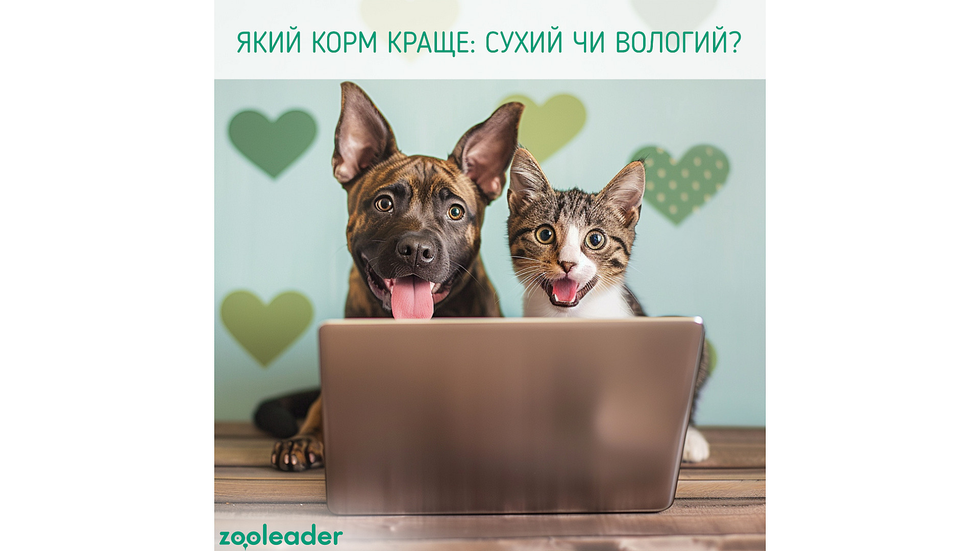 ZOOLEADER | △ Как правильно обрезать когти собаке легко и не больно -  Рекомендации от ветеринара