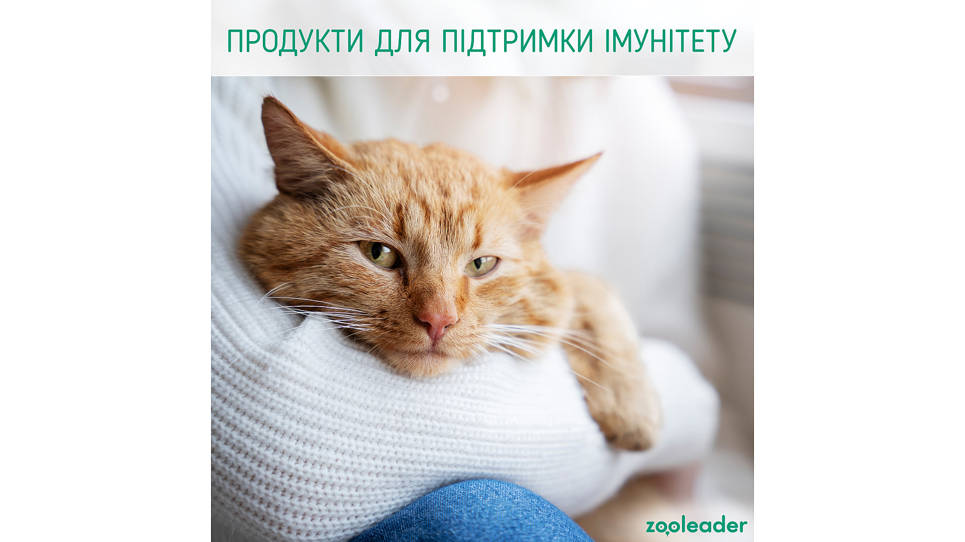 Продукти для підтримки імунітету улюбленців