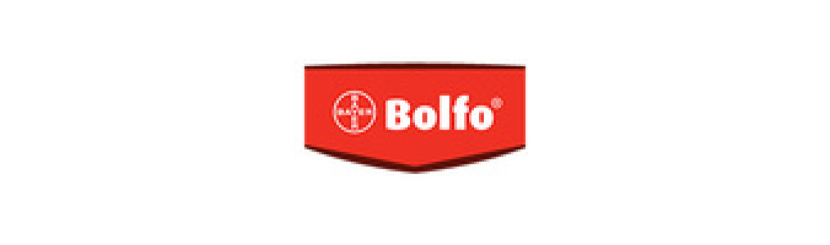 Bolfo