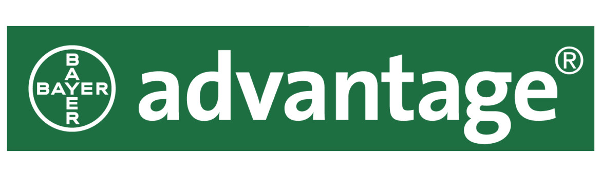 Advantage