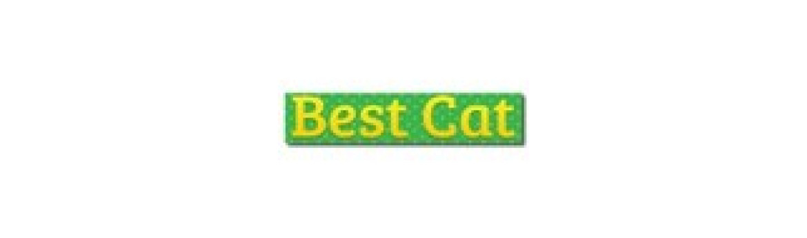 Best Cat
