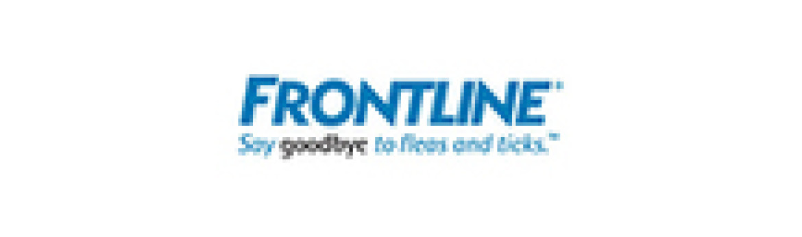 Frontline