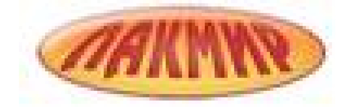 Лакмир