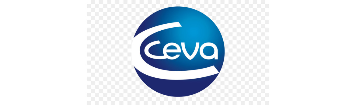 Ceva