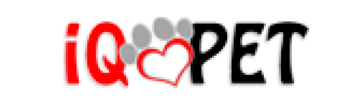 IQ Pet