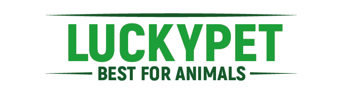 Lucky Pet