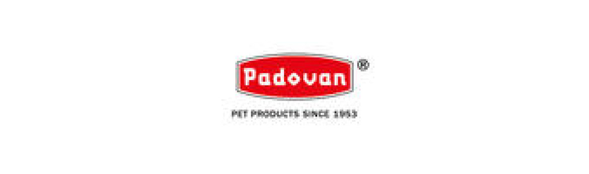 Padovan