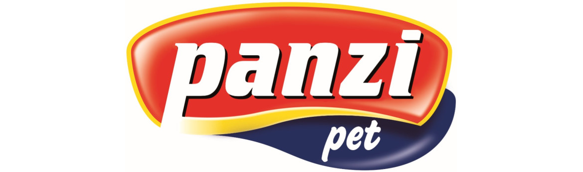 Panzi