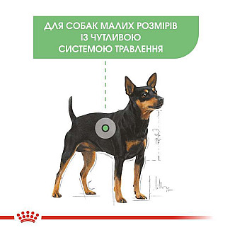 Royal Canin  Mini Digestive Care Сухой корм для взрослых собак мелких пород с чувствительным пищеварением в возрасте старше 10 месяцев, 3 кг