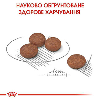 Royal Canin  Mini Digestive Care Сухой корм для взрослых собак мелких пород с чувствительным пищеварением в возрасте старше 10 месяцев, 3 кг