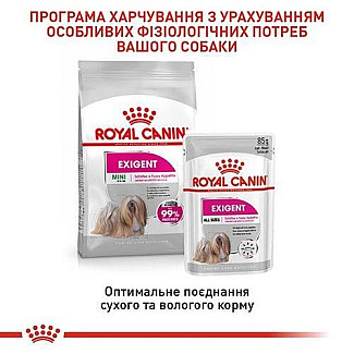 Royal Canin Mini Exigent сухой корм для собак мелких пород привередливых в питании, 3 кг