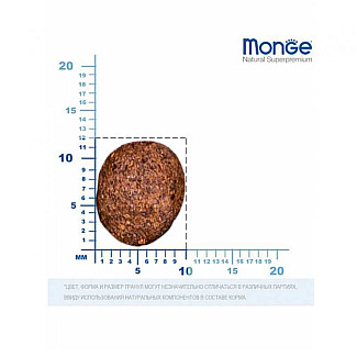 Monge (Монж) BWild Grain Free Duck Adult Mini - Беззерновий корм з качкою для дорослих собак дрібних порід, 15 кг