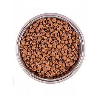 Сухий беззерновий корм для стерилізованих котів Monge (Монж) BWild Grain Free Tuna Sterilized Adult Cat із тунця, 10 кг