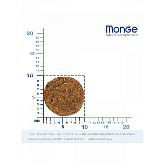 Сухий беззерновий корм для дорослих котів Monge (Монж) BWild Grain Free Salmon Adult Cat з лососем, 1.5 кг