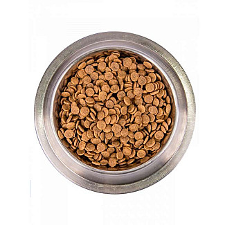 Сухий беззерновий корм для дорослих котів Monge (Монж) BWild Grain Free Salmon Adult Cat з лососем, 1.5 кг