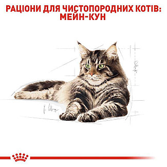 Влажный корм для взрослых кошек ROYAL CANIN MAINECOON ADULT, 85 г