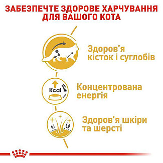 Влажный корм для взрослых кошек ROYAL CANIN MAINECOON ADULT, 85 г
