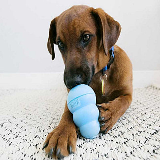 Іграшка для цуценят груша-годівниця Kong Puppy 7.6 см, S