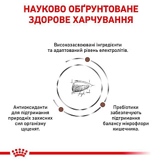 Лікувальний корм для цуценят Royal Canin Gastrointestinal Puppy при порушені травлення, 1 кг