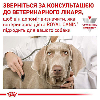 Лікувальний корм для цуценят Royal Canin Gastrointestinal Puppy при порушені травлення, 1 кг