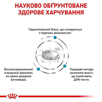 Лікувальний корм для собак при небажаній реакції на корм Royal Canin Anallergenic Dog, 3 кг
