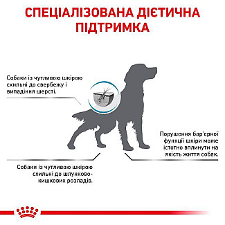 Лікувальний корм для собак при дермакозах і випаданні шерсті Royal Canin Skin Care Dog, 11 кг