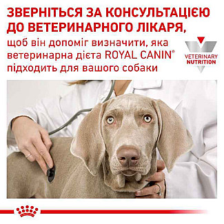 Лікувальний корм для собак при розладах травлення Royal Canin Gastrointestinal, 15 кг