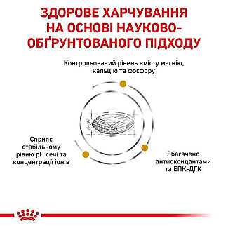 Лікувальний корм для собак Royal Canin Urinary S/O Dog при захворюваннях нижніх сечовивідних шляхів, 13 кг