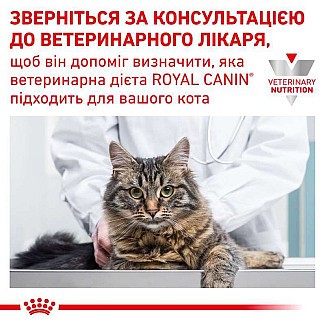 Royal Canin GASTRO INTESTINAL FELINE консервы для кошек с нарушением пищеварения, 85 гр