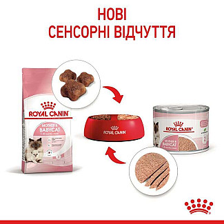 Royal Canin Mother and babycat   консервы для котят с момента отъема до 4 месяцев, 195 гр