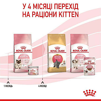 Royal Canin Mother and babycat   консервы для котят с момента отъема до 4 месяцев, 195 гр