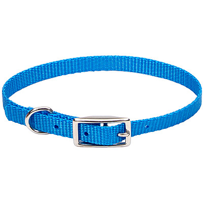 Coastal Nylon Web нашийник для собак, 1х25 см