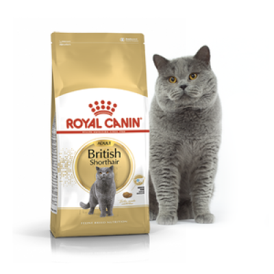 Сухий корм для дорослих  кішок Royal Canin Adult British Shorthair  породи Британська короткошерста